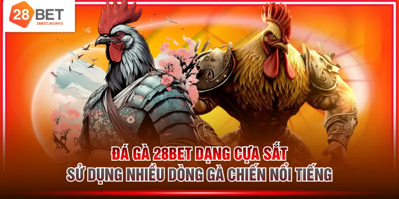 Đá gà 28BET dạng cựa sắt sử dụng nhiều dòng gà chiến nổi tiếng